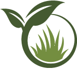 Key Cherry Blossom Planting