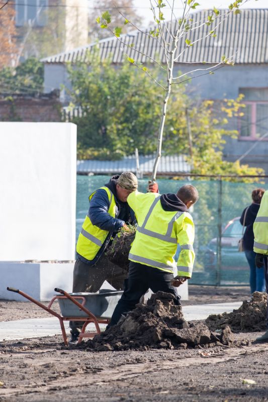 Cherry Blossom Planting