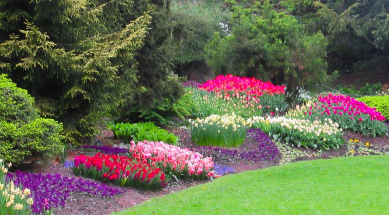 Flower Landscaping in Ventura County, CA