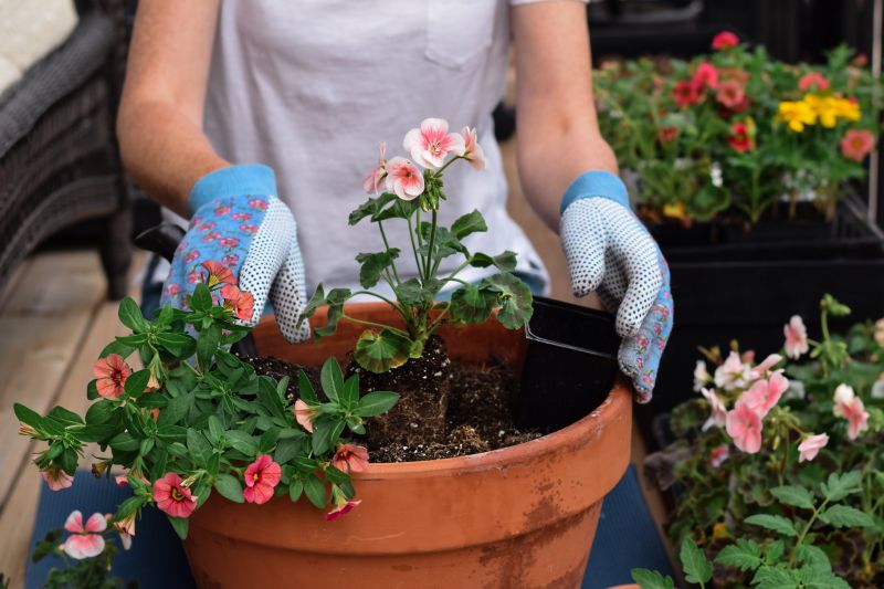 Flower Planting Service in Ventura County, CA