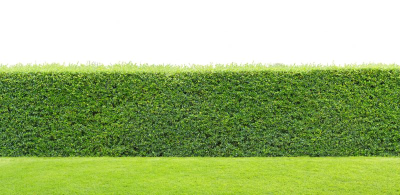 Hedge Installation in Honolulu, HI